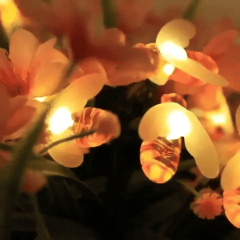 MAGIC SOLAR LIGHTS ABEJA X 5 MTS- ¡SUPER PROMO!